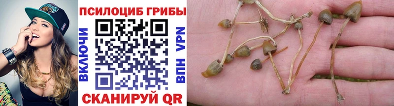Псилоцибиновые грибы Magic Shrooms  Петрозаводск 